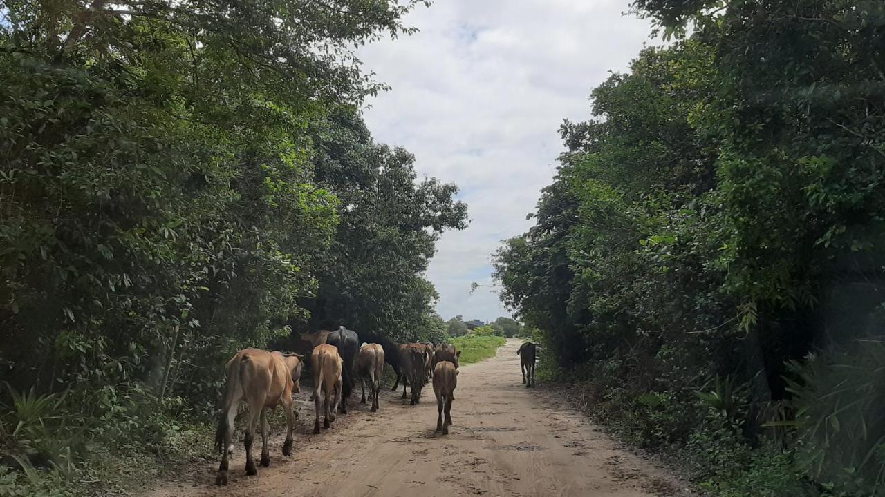 Chales Recanto Da Aldeia Itanhaém Eksteriør billede